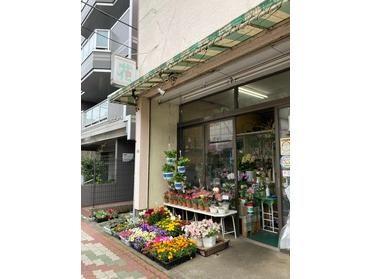 地域ならではのお花屋さん 鈴木生花店 1013 ピタットハウスの地域情報発信ブログ 街ピタ