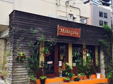 たまプラーザのお洒落なお花屋さん Mahogany 541 ピタットハウスの地域情報発信ブログ 街ピタ たまプラーザのお洒落なお花屋さん Mahogany 541 ピタットハウスの地域情報発信ブログ 街ピタ