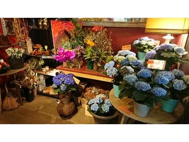 素敵な花屋さん フラワーショップ lafrance ピタットハウスの地域情報発信ブログ 街ピタ 素敵な花屋さん フラワーショップ lafrance ピタットハウスの地域情報発信ブログ 街ピタ
