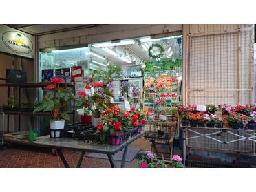 町のお花屋さん Hanaandhana ピタットハウスの地域情報発信ブログ 街ピタ