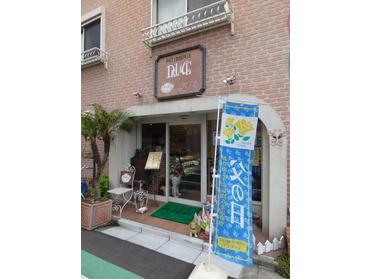 一貫した 傾く 指導する 新小岩 ケーキ 屋 さん Tallerdeconfeccionteresabarrera Com