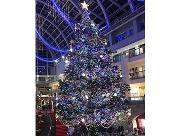 札幌ファクトリージャンボクリスマスツリー 89440 ピタットハウスの地域情報発信ブログ 街ピタ