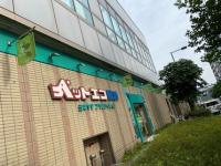 グランデファーレセンター北 神奈川県横浜市都筑区中川中央 賃貸マンションのことならピタットハウス 100001221061