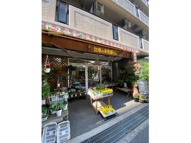 綺麗なお花がたくさん並ぶ地元のお花屋さん 江坂のお花屋さん ピタットハウスの地域情報発信ブログ 街ピタ 綺麗なお花がたくさん並ぶ地元のお花屋さん 江坂のお花屋さん ピタットハウスの地域情報発信ブログ 街ピタ