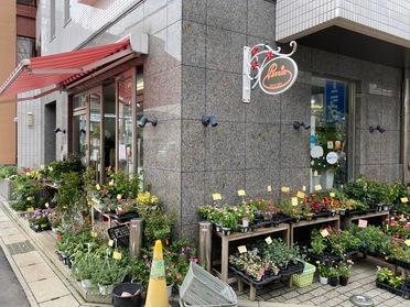 大切な人にぜひ フローリストペリエ ピタットハウスの地域情報発信ブログ 街ピタ