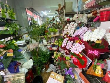大切な人にぜひ フローリストペリエ 91863 ピタットハウスの地域情報発信ブログ 街ピタ