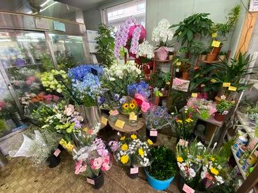 大切な人にぜひ フローリストペリエ ピタットハウスの地域情報発信ブログ 街ピタ