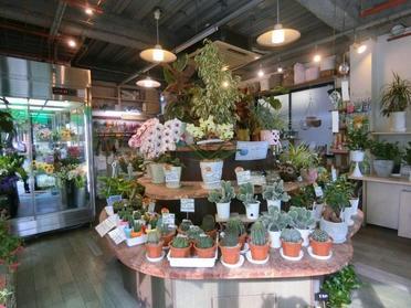 地域に愛されるお花屋さん フラワートーク ピタットハウスの地域情報発信ブログ 街ピタ