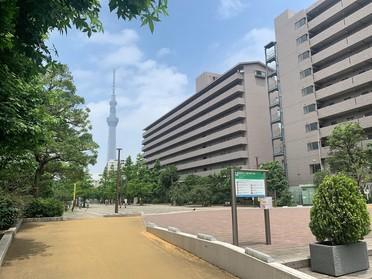 スカイツリーの見える公園 墨田区立 大横川親水公園 900 ピタットハウスの地域情報発信ブログ 街ピタ