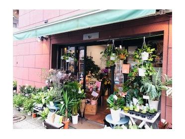 横浜で一番古いお花屋さん 花松 ピタットハウスの地域情報発信ブログ 街ピタ 横浜で一番古いお花屋さん 花松 ピタットハウスの地域情報発信ブログ 街ピタ