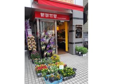 川口駅の街情報 ピタットハウスの地域情報発信ブログ 街ピタ