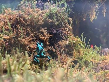 水族館行ってきました ｄｍｍ沖縄かりゆし水族館 イーアス沖縄豊崎 ピタットハウスの地域情報発信ブログ 街ピタ