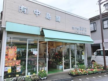 生活に花を添えてみませんか 有 中島園 ピタットハウスの地域情報発信ブログ 街ピタ