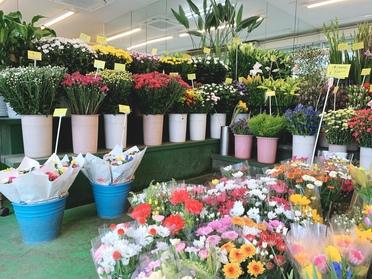 生活に花を添えてみませんか 有 中島園 ピタットハウスの地域情報発信ブログ 街ピタ