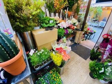 さつき通り商店街のお花屋さん 花の店 すたいる ピタットハウスの地域情報発信ブログ 街ピタ