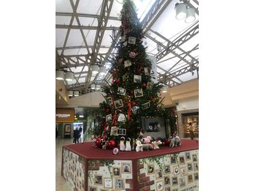 上野駅 クリスマスツリー ピタットハウスの地域情報発信ブログ 街ピタ 上野駅 クリスマスツリー ピタットハウスの地域情報発信ブログ 街ピタ