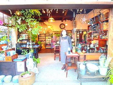 ペットを連れてお買い物できる雑貨屋さん kawagoe alphalpha 93522 ピタットハウスの地域情報発信ブログ 街ピタ