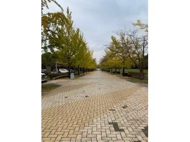 街ピタ 店舗ブログ ピタットハウス小手指店