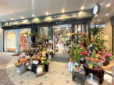 店頭華やか なフラワーショップ Hanayoshi 丸亀町グリーン店 ピタットハウスの地域情報発信ブログ 街ピタ 店頭華やか なフラワーショップ Hanayoshi 丸亀町グリーン店 ピタットハウスの地域情報発信ブログ 街ピタ