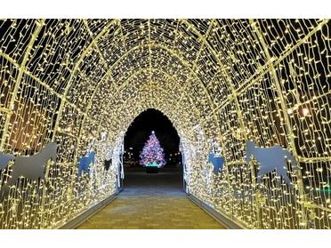 全長25メートルの光のトンネル はこだてグリーンプラザ光のトンネル ピタットハウスの地域情報発信ブログ 街ピタ 全長25メートルの光のトンネル はこだてグリーンプラザ光のトンネル ピタットハウスの地域情報発信ブログ 街ピタ