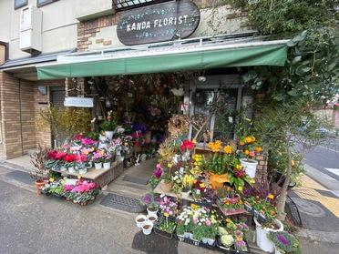 ドライフラワーが人気です 神田フローリスト ピタットハウスの地域情報発信ブログ 街ピタ