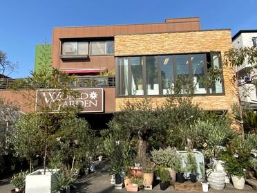 珍しい観葉植物がありました World Garden ピタットハウスの地域情報発信ブログ 街ピタ 珍しい観葉植物がありました World Garden ピタットハウスの地域情報発信ブログ 街ピタ