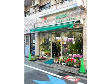 地元に愛される花屋さん みどり生花 ピタットハウスの地域情報発信ブログ 街ピタ 地元に愛される花屋さん みどり生花 ピタットハウスの地域情報発信ブログ 街ピタ