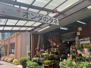 ピタットハウス