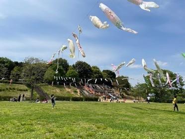 元気の溢れる公園 公津の杜公園 ピタットハウスの地域情報発信ブログ 街ピタ