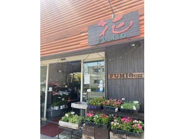 街のお花屋さん 花 Fumio フラワーショップ ピタットハウスの地域情報発信ブログ 街ピタ 街のお花屋さん 花 Fumio フラワーショップ ピタットハウスの地域情報発信ブログ 街ピタ