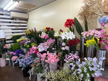 京成津田沼で50年近く続くお花屋さん 小山生花店 ピタットハウスの地域情報発信ブログ 街ピタ