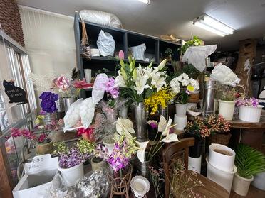 京成津田沼で50年近く続くお花屋さん 小山生花店 ピタットハウスの地域情報発信ブログ 街ピタ