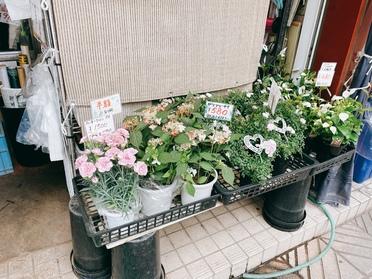 船堀駅にある お花屋さん 花摘み広場 ピタットハウスの地域情報発信ブログ 街ピタ