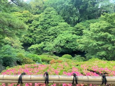 ピタットハウス