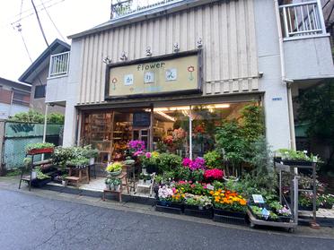 素敵なお花がお出迎えしてくれるお花屋さん かりん ピタットハウスの地域情報発信ブログ 街ピタ