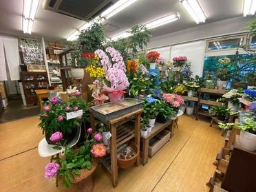 素敵なお花がお出迎えしてくれるお花屋さん かりん ピタットハウスの地域情報発信ブログ 街ピタ