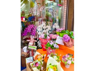 湯島で1年以上続くお花屋さん コダカ花店 ピタットハウスの地域情報発信ブログ 街ピタ