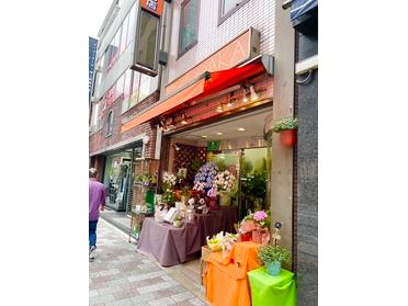 湯島で1年以上続くお花屋さん コダカ花店 ピタットハウスの地域情報発信ブログ 街ピタ