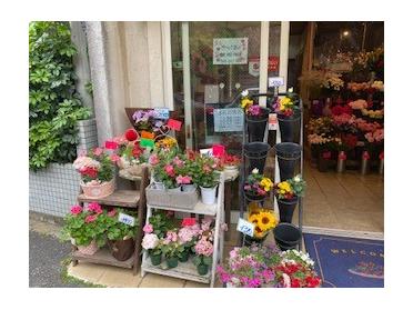 商店街近くの可愛い花屋 はなじゅう はなじゅう ピタットハウスの地域情報発信ブログ 街ピタ