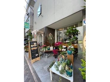 元町の花カフェ 花 Lab Nocturne ピタットハウスの地域情報発信ブログ 街ピタ