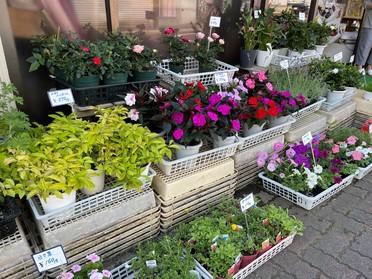 古き良きお花屋さん 花みずき ピタットハウスの地域情報発信ブログ 街ピタ 古き良きお花屋さん 花みずき ピタットハウスの地域情報発信ブログ 街ピタ