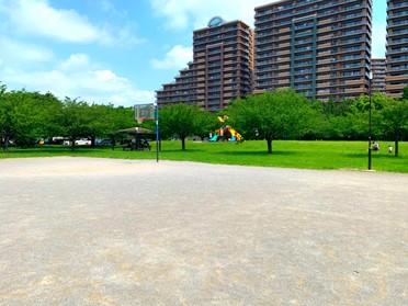 野球場 バスケットリングがある公園 高洲中央公園 ピタットハウスの地域情報発信ブログ 街ピタ 野球場 バスケットリングがある公園 高洲中央公園 ピタットハウスの地域情報発信ブログ 街ピタ