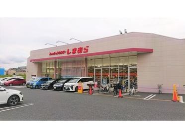 南与野駅周辺 ショッピング ファッションセンター しまむら ピタットハウスの地域情報発信ブログ 街ピタ 南与野駅周辺 ショッピング ファッションセンター しまむら ピタットハウスの地域情報発信ブログ 街ピタ