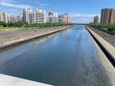 新浦安駅の街情報 ピタットハウスの地域情報発信ブログ 街ピタ 新浦安駅の街情報 ピタットハウスの地域情報発信ブログ 街ピタ