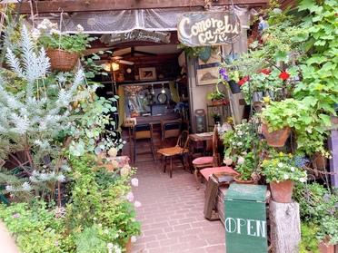 街ピタ 店舗ブログ ピタットハウス門前仲町店