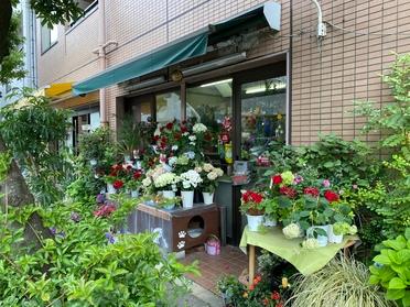 種類豊富なお花屋さん フラワーショップけさらんぱさらん ピタットハウスの地域情報発信ブログ 街ピタ
