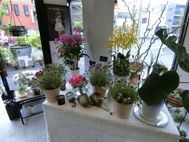 お洒落なお花屋さん ｒ By Naoya Watanuki ピタットハウスの地域情報発信ブログ 街ピタ