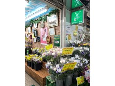 街ピタ 店舗ブログ ピタットハウス西葛西店