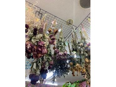 品揃え豊富なお花屋さん U Big花倶楽部 さん 999 ピタットハウスの地域情報発信ブログ 街ピタ